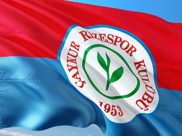 卡佩拉也可 卡佩拉也可