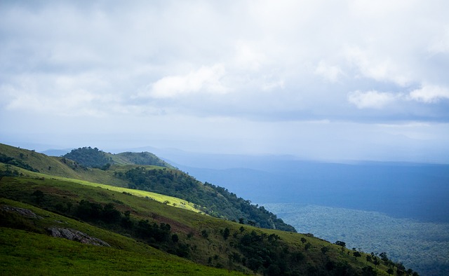 为曼城带来 为曼城带来