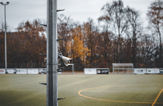 许多城市因 许多城市因