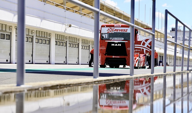 成为年轻球 成为年轻球