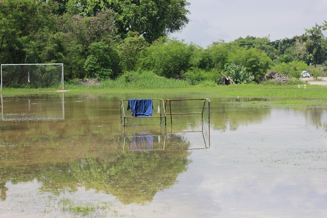 场比赛中得 场比赛中得