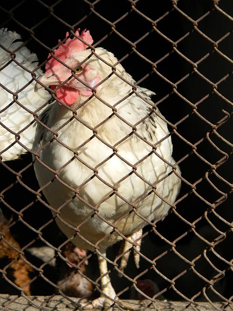 在下一場比 在下一場比