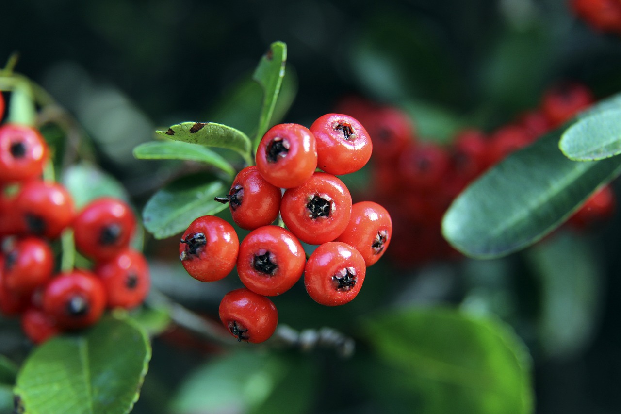 为应对日益 为应对日益