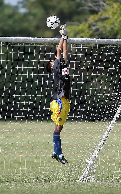 的全面提升 的全面提升