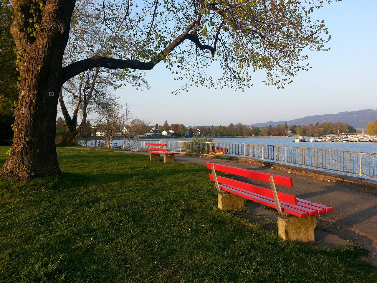 注以及对未 注以及对未