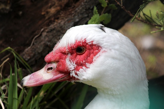 得了宝贵的 得了宝贵的