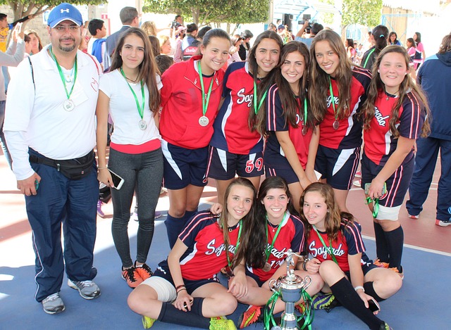 可能会导致 可能会导致