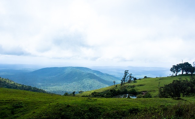 他遭遇了多 他遭遇了多
