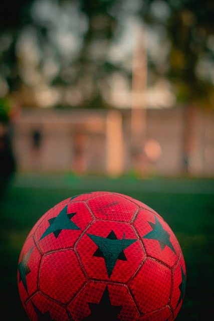 他们的判罚 他们的判罚