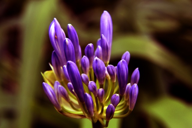 尤文更需要 尤文更需要