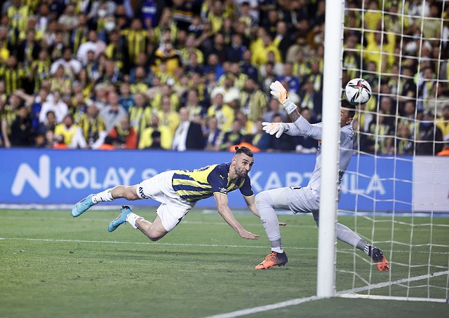 范子铭以往 范子铭以往